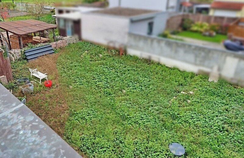 Blick in den Garten