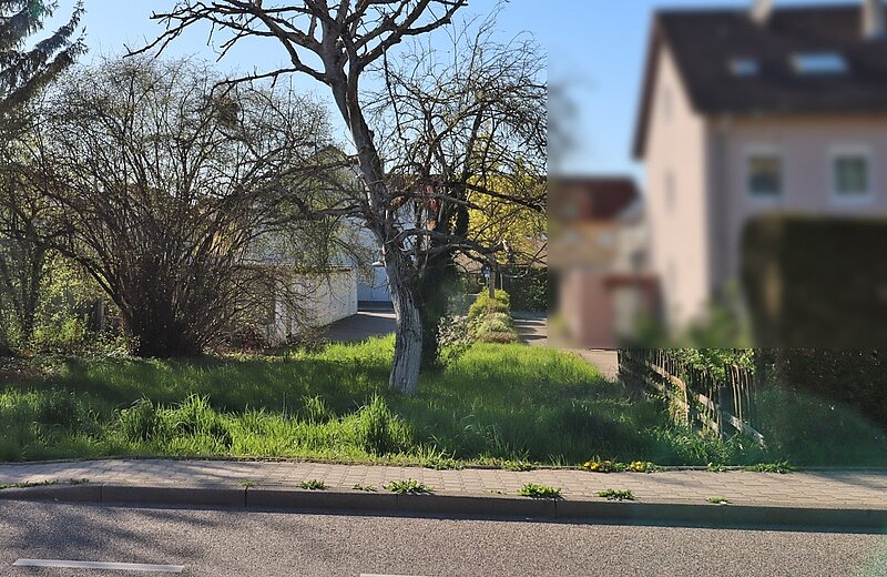 Blick auf das Baugrundstück