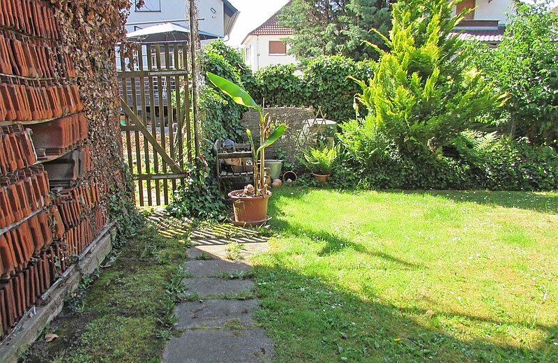Blick in den Garten