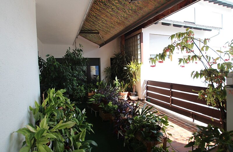 Balkon