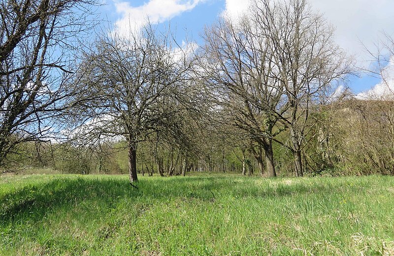 Blick aufs Grundstück