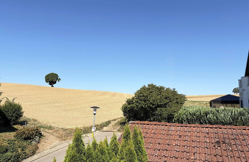 Ausblick Küche