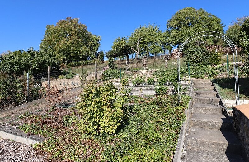 Obst- und Gemüsegarten