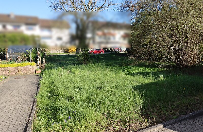 Blick Richtung Straße