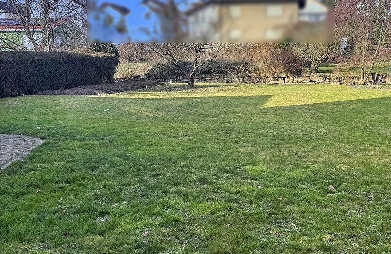 Blick in den Garten