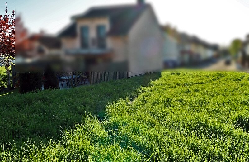 Blick Richtung Straße