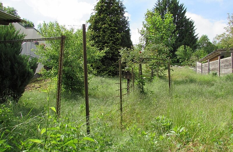 großes Gartengrundstück